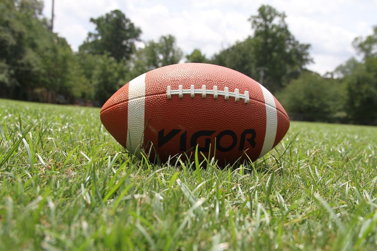 american football, football, nature-1666274.jpg